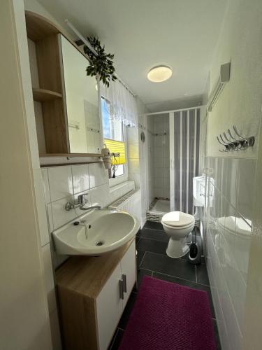 a bathroom with a sink and a toilet at Ferienwohnung Streit in Kurort Gohrisch