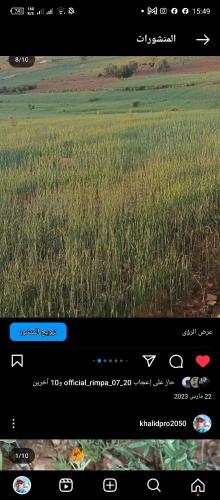 Captura de pantalla de una pantalla de teléfono móvil con un campo en Morocco, en Safí