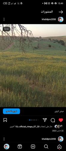 Captura de pantalla de una pantalla de teléfono móvil con un campo en Morocco, en Safí