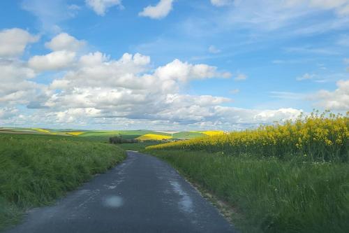 a dirt road through a field with yellow flowers at Le Clos de chantecoq in Outrepont