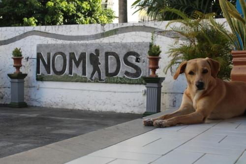 um cão castanho deitado no chão em frente a uma placa em Nomads Hostel Multicultural & Coworking em Salvador