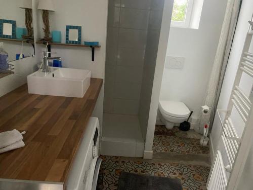 een badkamer met wastafel en toilet bij TY MAI - petite maison proche plages et commerces in Trébeurden