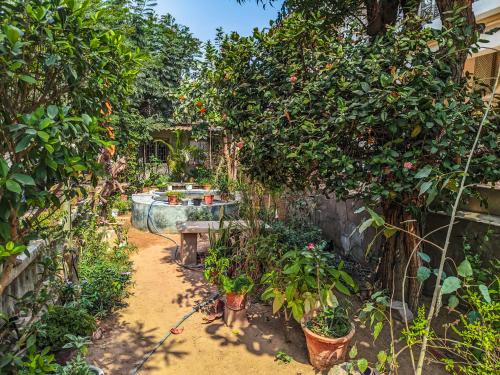 a garden with a tub and trees and plants at Jaat House in Bhuj