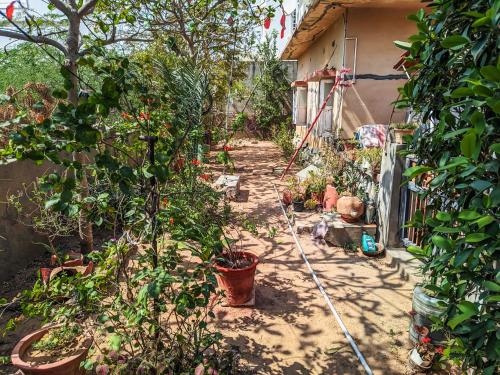 a garden with a hose in front of a house at Jaat House in Bhuj