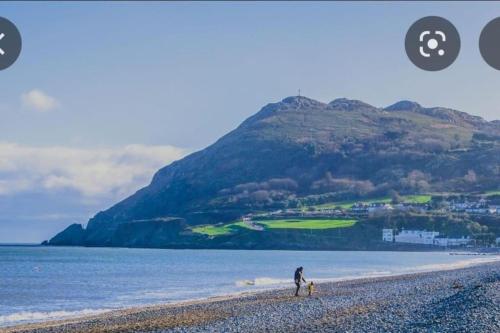 a person walking a dog on a beach at Eglinton Road - Sleeps 6 on room only basis in Bray