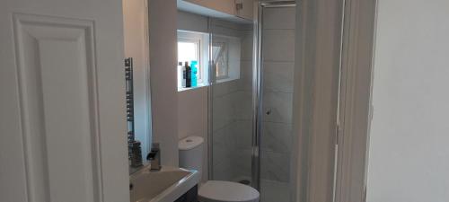 uma casa de banho com um chuveiro, um WC e um lavatório. em Eglinton Road - Sleeps 6 on room only basis em Bray