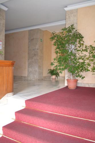 Mocenigo4 photo 45