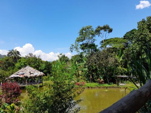 Un paisaje natural cerca de la casa de huéspedes
