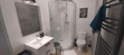 a bathroom with a shower and a sink and a toilet at Ambasada zieleni in Uniejow