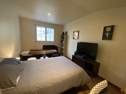 a bedroom with a bed and a flat screen tv at Charmant Studio avec son jardin privé aux portes de Paris in Ivry-sur-Seine