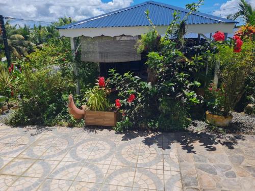 Gallery image of La maison de campagne in Morne-à-lʼEau