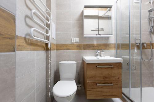 La salle de bains est pourvue de toilettes, d'un lavabo et d'une douche. dans l'établissement Apartment ZAMECKY VRCH GETAWAY, à Karlovy Vary