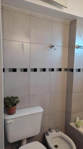 a bathroom with a toilet and a plant on the wall at En el corazón de Palermo Soho in Buenos Aires