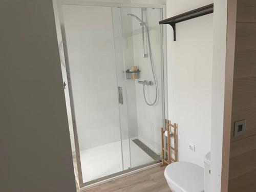une douche avec une porte vitrée dans une salle de bain dans l'établissement Maison avec piscine et jacuzzi en Briere, à Saint-Lyphard