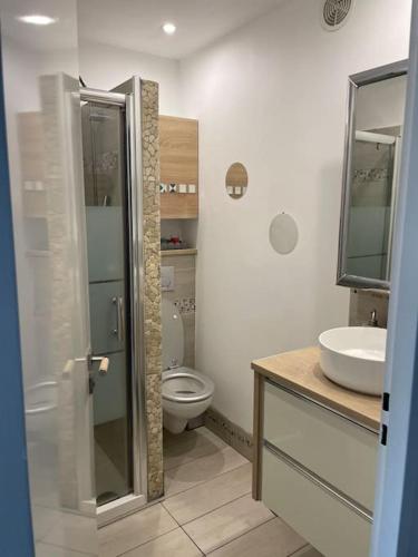 une salle de bain avec toilettes et lavabo dans l'établissement Appt en RDJ à 2 min de la plage, à Antibes