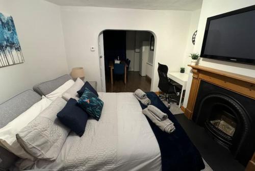 a bedroom with a bed with a fireplace and a television at 2-bedroom house in Cheltenham town centre in Cheltenham