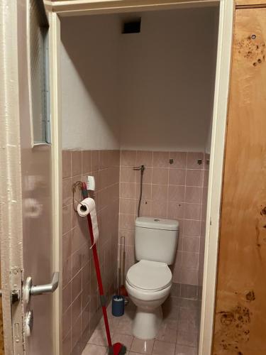 a bathroom with a toilet with a mop in it at Apartament przy górce in Biała Podlaska