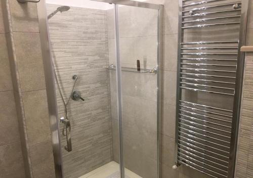 een douche met een glazen deur in de badkamer bij Appartamento Gargano in Carpino