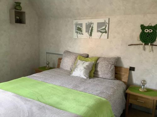 um quarto com uma cama com um cobertor verde em Le chouette gîte em Sélestat