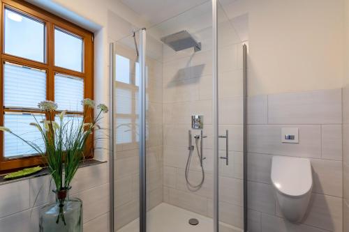 uma casa de banho com um chuveiro e um WC. em Ferienwohnung-Meiser em Oberwaroldern