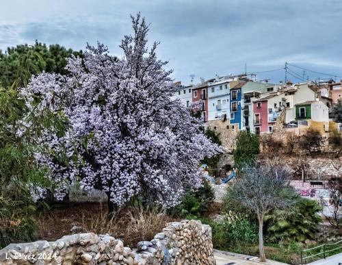 a tree with purple flowers on it in a city at casa de tres habitaciones con parking bajo la casa in Villajoyosa