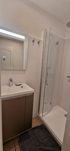 a bathroom with a shower and a sink at Bulle D'eau in Spa