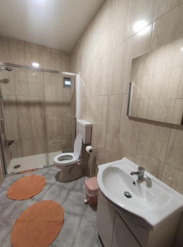 een badkamer met een wastafel, een toilet en een douche bij Pensão Estrela in Unhais da Serra