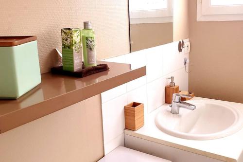 a bathroom with a sink and a mirror at Simplicité et calme en appartement à Issoire in Issoire