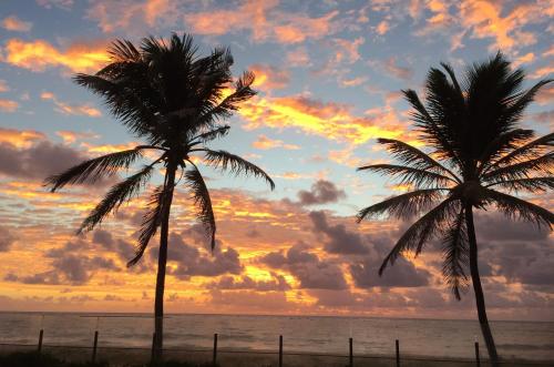 two palm trees on the beach at sunset at Tabatinga Beach Hotel in Nísia Floresta