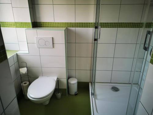 a small bathroom with a toilet and a shower at Penzion u Jezevce in Hřensko