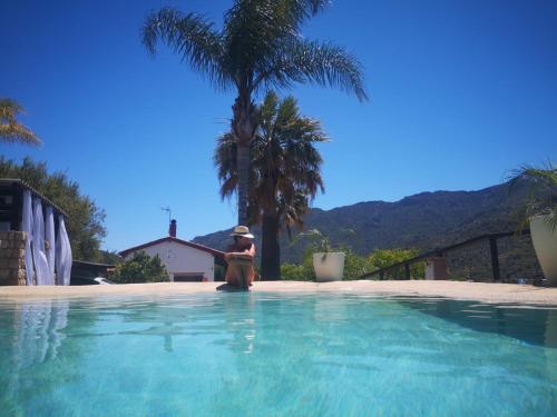 a person standing next to a swimming pool with a palm tree at Casa Rural Caserío Las Viñas in Guájar Fondón