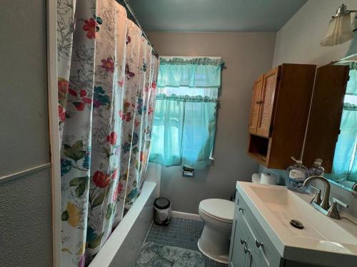 a bathroom with a toilet and a shower curtain at Comfy getaway full Apt single bedroom sleeps two! in Niagara Falls
