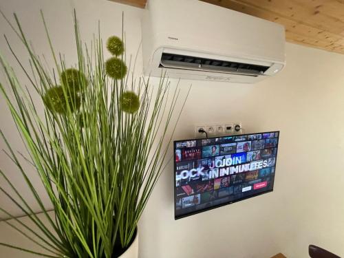 a tv hanging on a wall next to a potted plant at Apartmán mini Stupava in Stupava