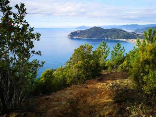 a view of the ocean from a hill with trees at A window to the sea in Riva Trigoso
