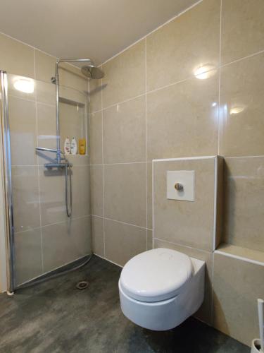 a bathroom with a toilet and a shower at Headington Haven Homestay in Oxford
