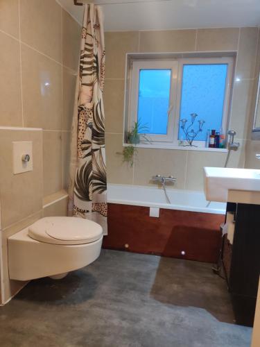 a bathroom with a toilet and a sink and a window at Headington Haven Homestay in Oxford