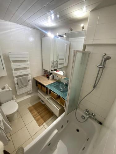 une salle de bain avec un lavabo et des toilettes dans l'établissement Duplex avec jardin, superbe vue lac, Veyrier, à Veyrier-du-Lac