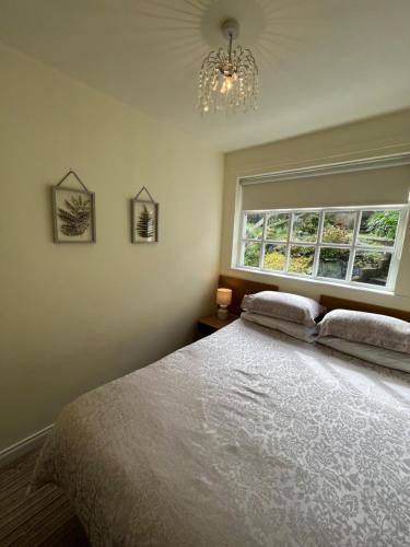 een slaapkamer met een groot bed en een raam bij Slieve Donard Cottage in Newcastle