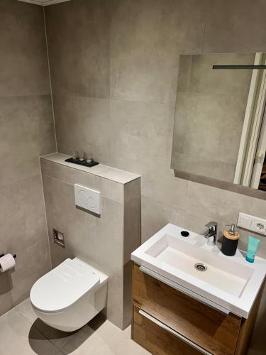 a bathroom with a white toilet and a sink at Beach House met badkamer, boxspring & airco in Schoonebeek