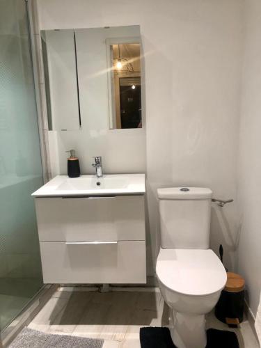 uma casa de banho com um WC branco e um lavatório. em Studio lumineux et équipé em Villemomble