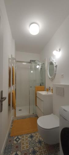 une salle de bain avec une douche, des toilettes et un lavabo dans l'établissement 2 pièces calme à 300m du château, à Versailles