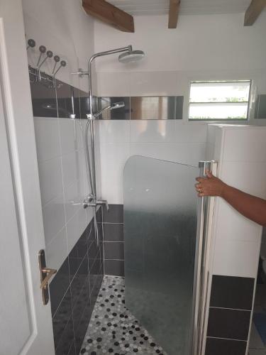 a person standing in a shower with a glass door at Villa des fleurs in Pointe-Noire