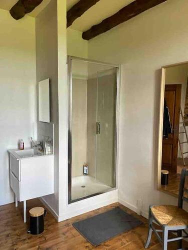 une salle de bain avec une douche, un lavabo et un miroir dans l'établissement Maison Vacances 12 pers / Périgord Noir / Piscine, à Saint-Julien-de-Lampon