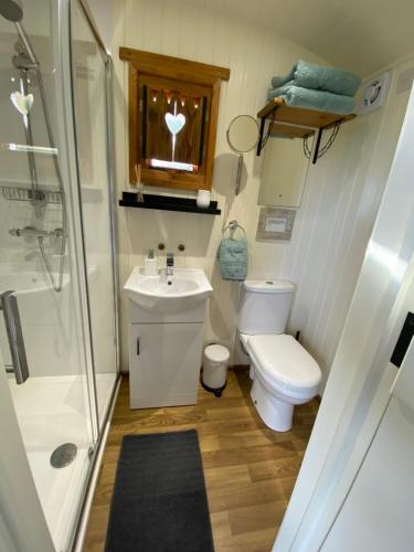 a bathroom with a toilet and a sink and a shower at Shepherds Hut in the Hills - Nr. Mold in Nannerch