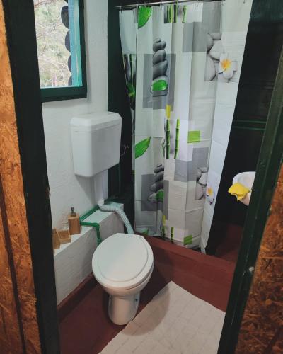 łazienka z toaletą i zasłoną prysznicową w obiekcie Brvnara Gromki - Mountain house w mieście Han Pijesak