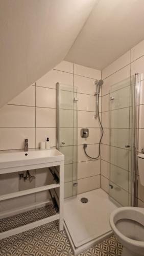 een badkamer met een douche, een wastafel en een toilet bij Messe- und Ferienwohnung am Ponyhof Nürnberg in Neurenberg