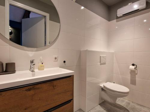 a bathroom with a toilet and a sink and a mirror at Appartement Bierkade in Alkmaar