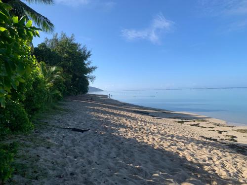 a sandy beach with trees and the ocean at Fare Hotu Punaauia bord de mer in Punaauia