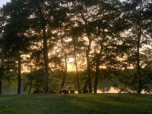 a park with trees and a bench in the grass at Kedras Glamping - Pod tipo nameliai in Prapuntai