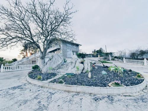 a garden in the middle of a street with a tree at JMCA in Castro-Urdiales